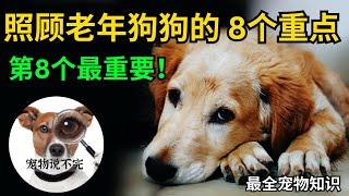 宠物小知识2023 | 照顾老年狗狗的8个方法 狗狗护理很重要 年老犬的心理问题 #宠物知识  #狗狗老了 #狗狗护理 【宠物说不完】