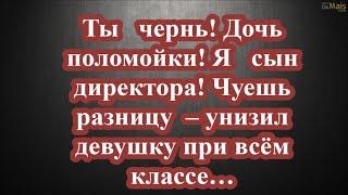 Ты   чернь! Дочь поломойки! Я   сын директора! Чуешь разницу  – унизил девушку при всём классе…