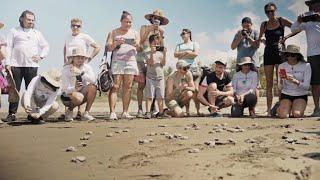 Costa Rica Green Team Volunteers Help Rescue Turtle Population