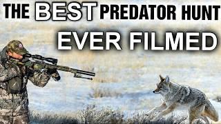 The Best Predator Hunt Ever Filmed  | 25 Coyotes Down With Four Different Calibers | New 2025