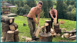 A father and his sons collect firewood for the winter