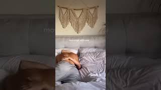 Tod teri in a romantic way #viral #shorts #romanticstatus #kiss #lovestatus #love #couple