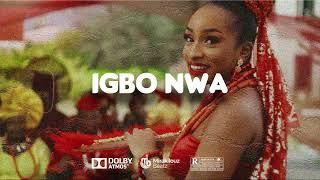 [FREE] Afro Highlife Instrumentals 2024 "IGBO NWA "