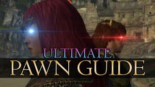ULTIMATE PAWN GUIDE | Dragon's Dogma