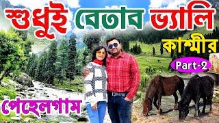 Pahalgam Betaab Valley| Betaab Valley Pahalgam| Kashmir Tour| Betaab Valley|