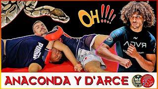 ANACONDA Y D'ARCE CHOKE | TUTORIAL PARA PRINCIPIANTES | BJJ MMA NOGI | Escuela de grappling