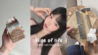 slice of life in japan : balancing work & school, living alone, shopping, eating at the best spots