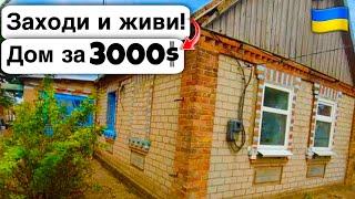  Заходи и живи! Дом в селе за 3000$ Продажа недвижимости за копейки! Всё есть Уютное тихое село!