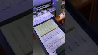 Vicut sheet fed label cutter