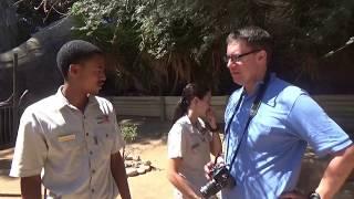 Südafrika Videos: Im Gepardenkäfig der Cango Wildlife Ranch