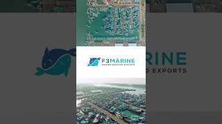 F3 Marine - Frozen Seafood Exporter #frozenseafood #export #corporatevideo #malpe #india #thailand