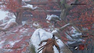 Новый скип первой стадии боя с  Падшей монахиней  вер 1.06: (Sekiro: Shadows Die Twice)