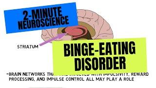 2-Minute Neuroscience: Binge-Eating Disorder