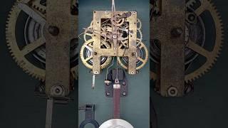 #Pendulum Clock #short #viral