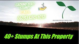 40+ Stumps