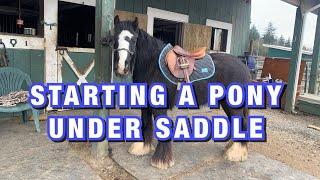 Starting A Horse Under Saddle| Step by Step