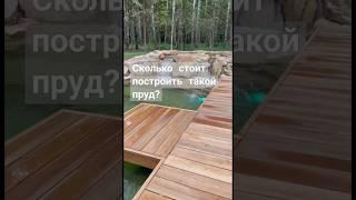 СКОЛЬКО СТОИТ построить ПРУД ДЛЯ ПЛАВАНИЯ и РЫБАЛКИ? #shorts