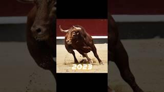 2023 Bull  vs 5000 bce Bull  #shorts #viral