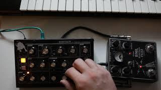 Moog Minitaur BEST DEMO