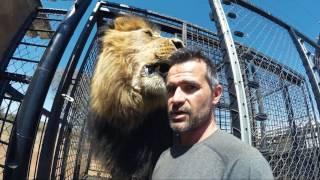 It's MOVING Day! - Part 1 | The Lion Whisperer