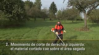 Corte de Cesped con Desbrozadora | Corte de Cesped con Motoguadaña | Consejos STIHL