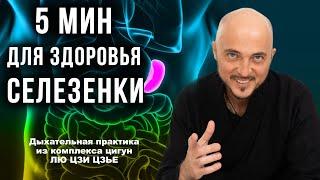 5 мин для здоровой селезёнки. Дыхательная практика для внутренних органов. К.Перо Академия Целителей