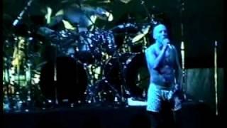 TOOL - AENIMA LIVE New Jersey 1997