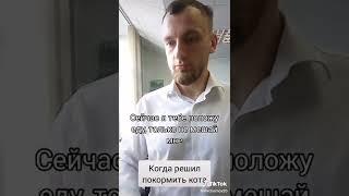 Решил покормить кота  Смех Юмор