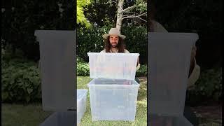 Cleaning terracotta pots #ad  #IKEAsolutions #gardeningtips  #plants #terracotta #planttips