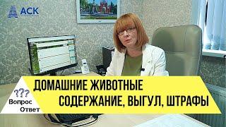 Правила и штрафы за выгул собак Закон о бездомных животных Каких животных можно содержать домаАСК