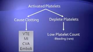 Heparin-Induced Thrombocytopenia