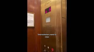 telemarketing  #nyclife  #dogsoftiktok