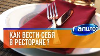 Галилео  Как вести себя в ресторане?