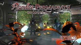 Placidlee Permadeath | Episode 26 - Garden Wiring! | No Man's Sky | Interceptor 4.37