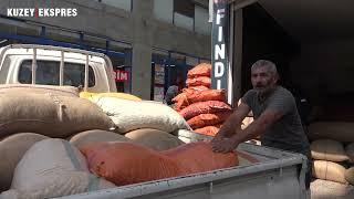 Trabzon'da fındık fiyatları ne kadar? İşte piyasadaki son durum