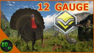 REALISTIC Turkey Hunt with the 12 GAUGE!! *Super Rare* Call Of The Wild
