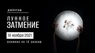 Лунное затмение 19 ноября 2021. Влияние на 12 знаков