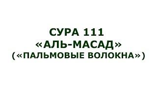 Сура 111. Аль-Масад (Пальмовые волокна)