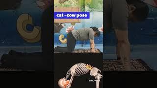 #marjaryasana#Cat-Cow pose#like #share #subscribe