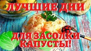 КОГДА СОЛИТЬ КАПУСТУ, чтобы была очень вкусной? Лучшие даты по лунному календарю для засолки капусты