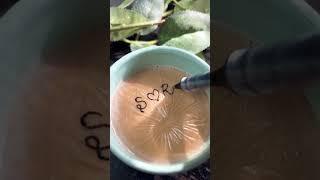 Dedicated to all S ️ R Lovers 