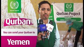  Send your Qurban with Human Appeal Australia to Yemen 