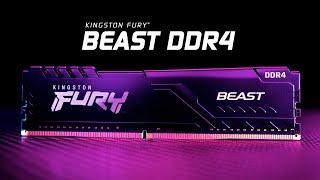 DDR4 memory with speeds up to 3733MHz – Kingston FURY Beast