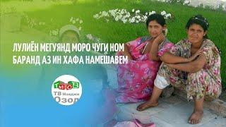 Лулихои Точикистон