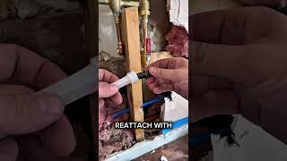 shower faucet update #plumbing