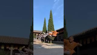 Shaolin KungFu Training Exercises