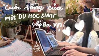 CUỘC SỐNG HẰNG NGÀY CỦA MỘT "DU HỌC SINH CẤP 3 VIỆT NAM" SẼ CÓ GÌ? |Katebuii