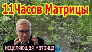 11Часов Матрицы Гаряева Полное Исцеление Всего Организма, Можно Слушать Вечно.