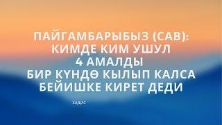 Бейишке убада кылынган 4 амал