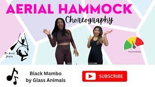 Fun Intermediate Aerial Hammock Tutorial|The Aerial Besties